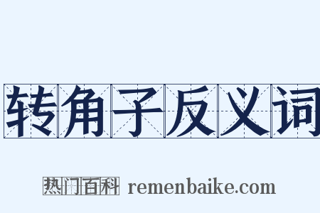转角子反义词是什么意思的图片